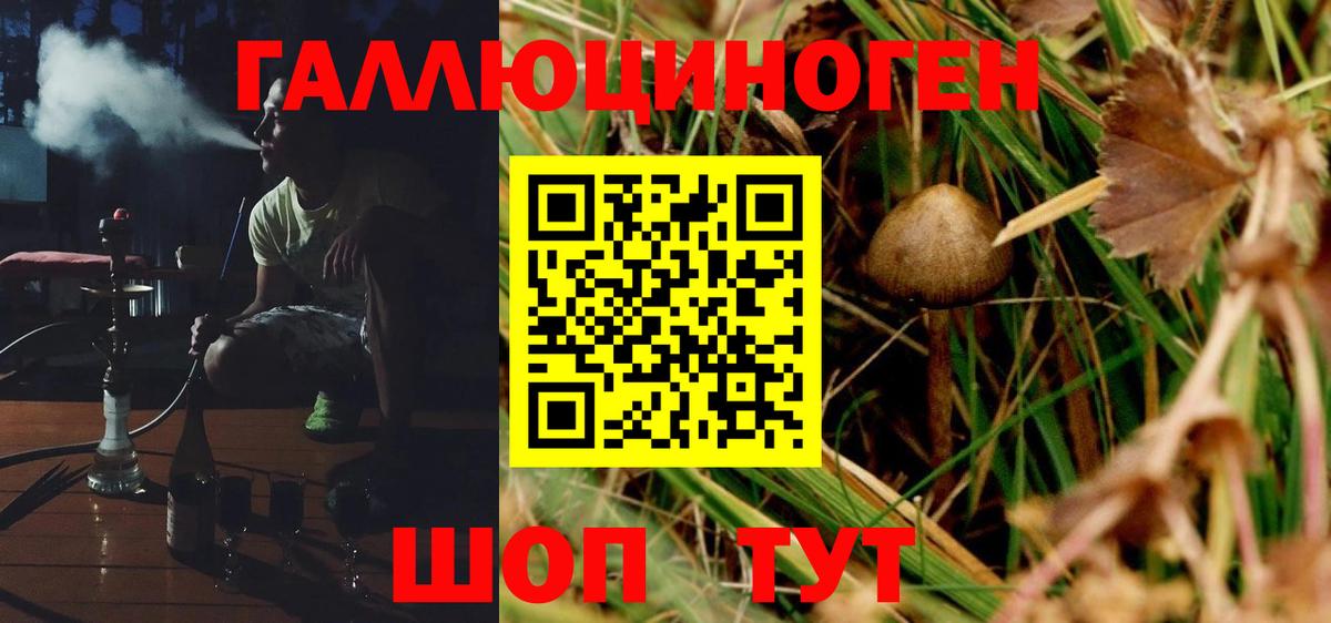 Красный Сулин  Псилоцибиновые грибы GOLDEN TEACHER  как найти закладки  Вход с VPN 